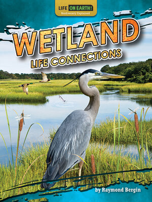 cover image of Wetland Life Connections